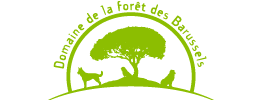 Espace Chiens - Domaine de la Forêt des Barussels